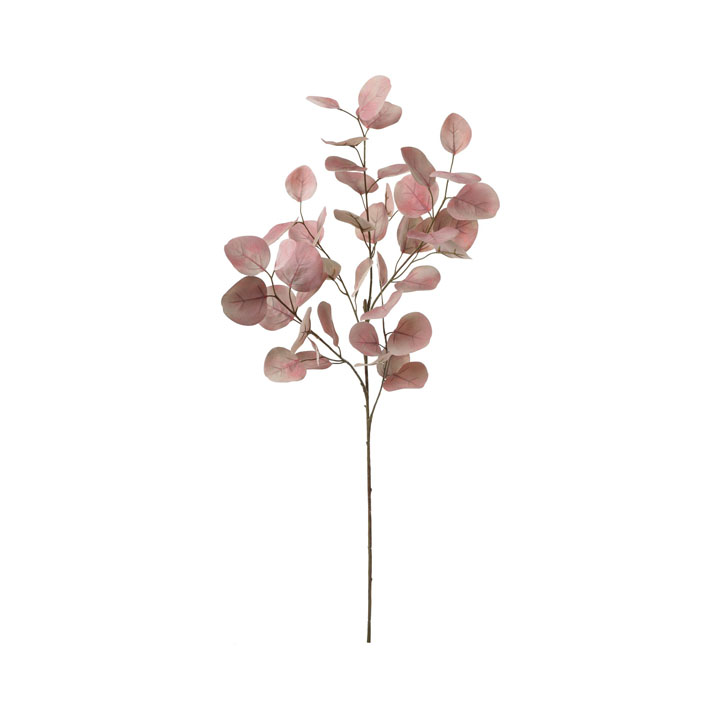 ポポラスユーカリブランチ