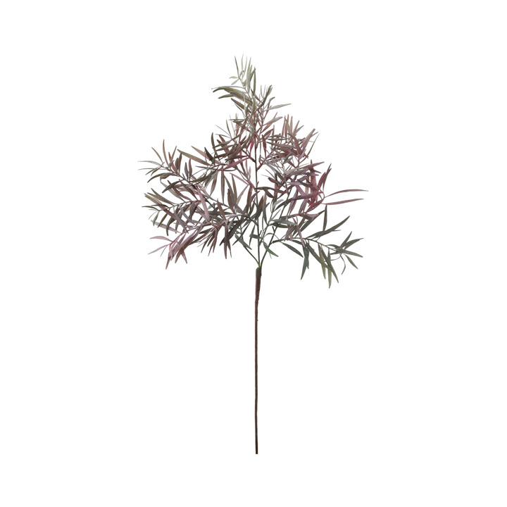 カラードグレビリアスプレー