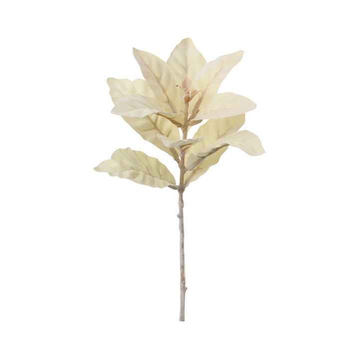 ラスティックラムズイヤーショート