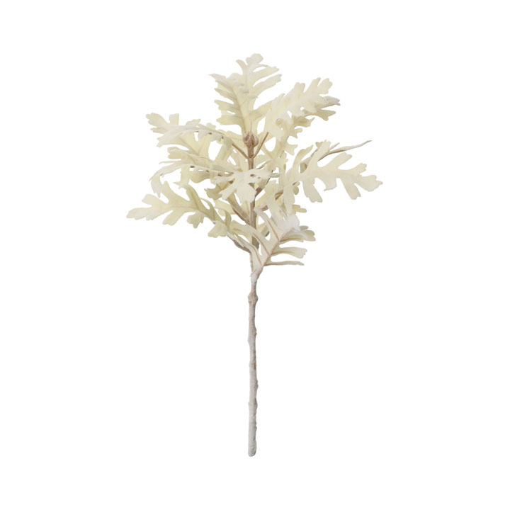 ラスティックダスティーミラーショート