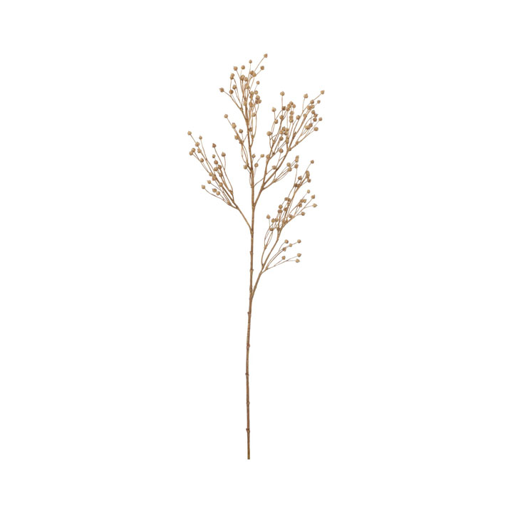 ドライフラックスシード