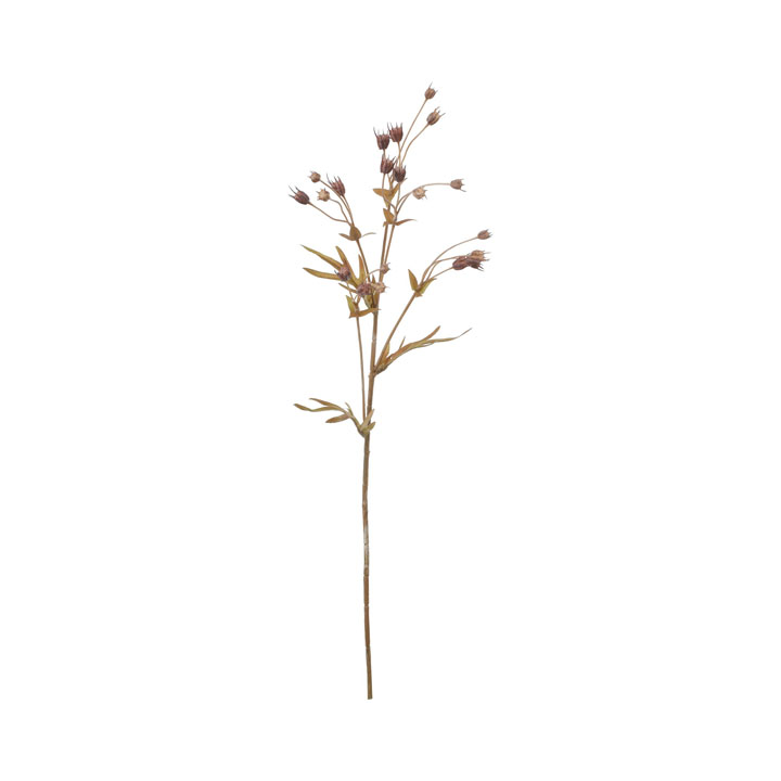 アマニスプレー