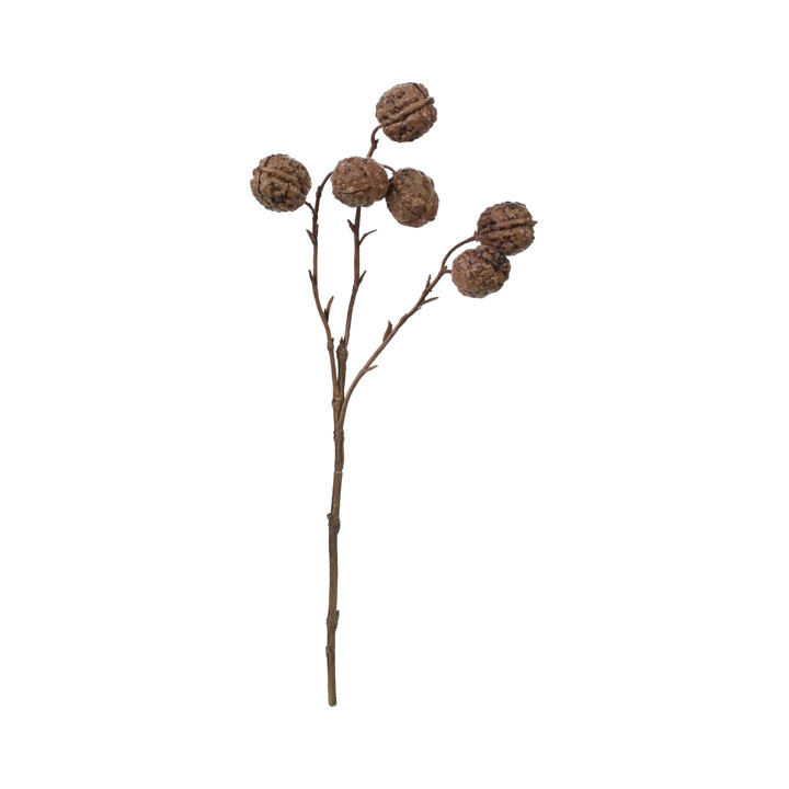 ウォルナッツスプレー