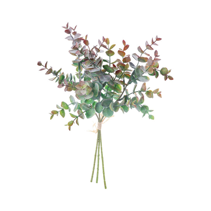 ユーカリバンチ