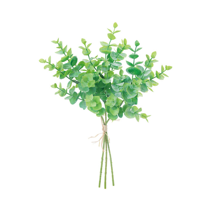 ユーカリバンチ