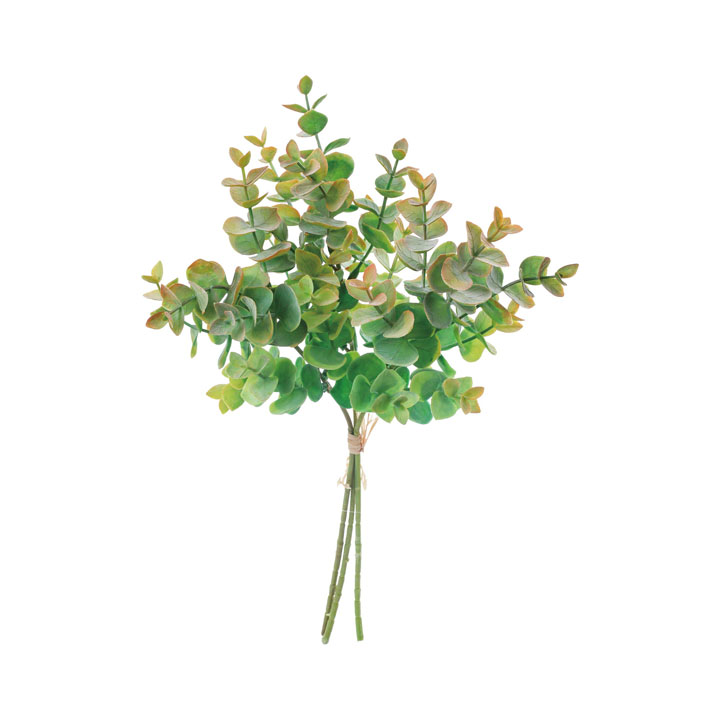 ユーカリバンチ