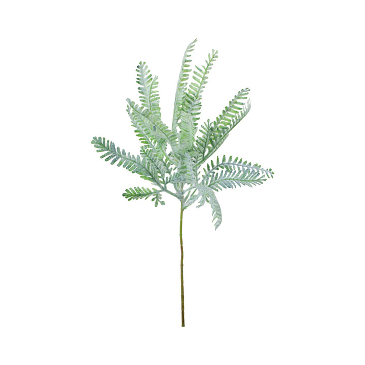 ファーンショート