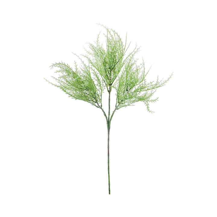 ソフトグラススプレー