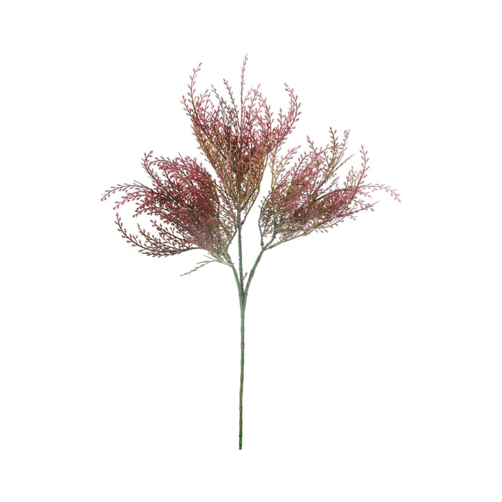 ソフトグラススプレー