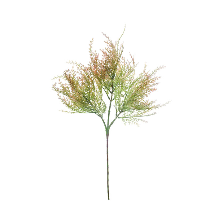 ソフトグラススプレー