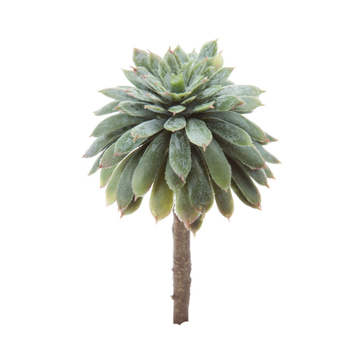 バルーンセダムピック