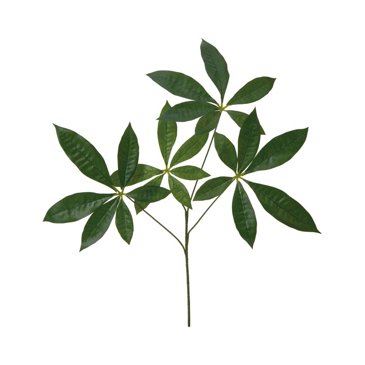 パキラリーフスプレー