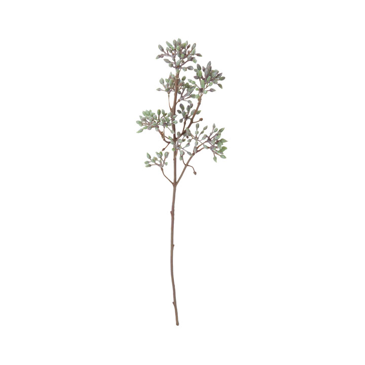 ドッグウッドバッドスプレー