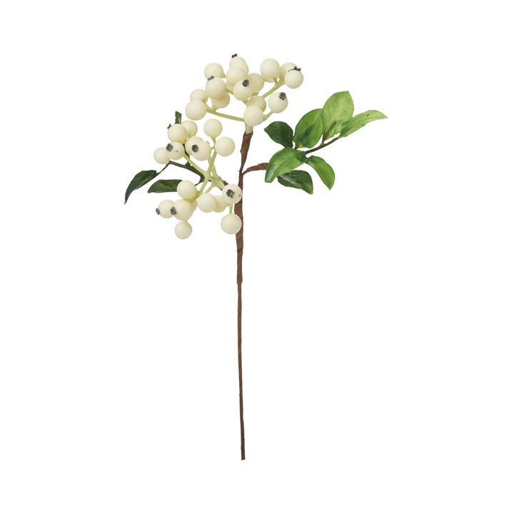 フレッシュベリーピック