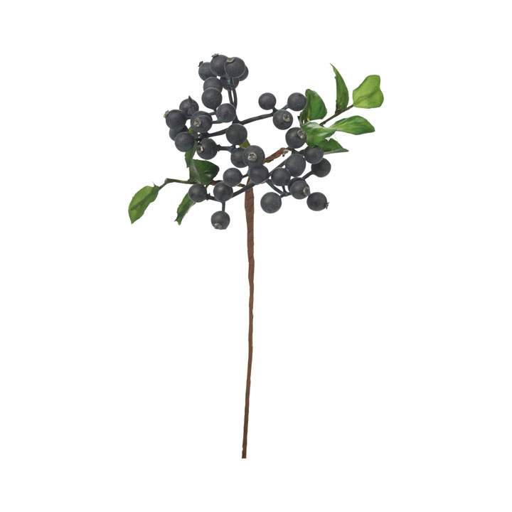 フレッシュベリーピック