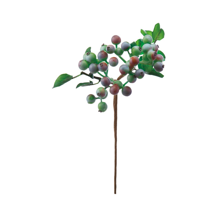 フレッシュベリーピック