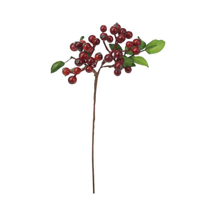 フレッシュベリーピック