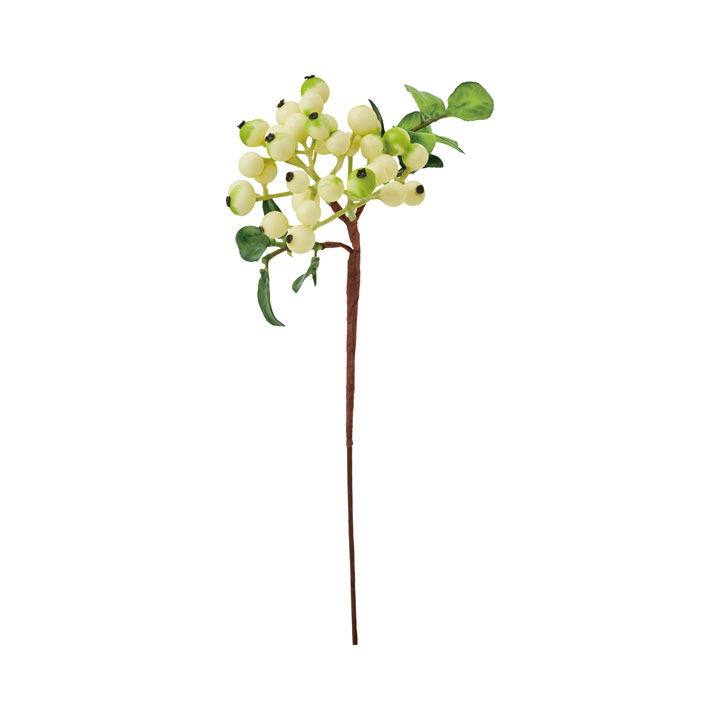 フレッシュベリーピック