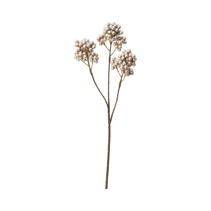 パーリーベリースプレー