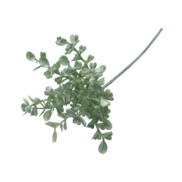 ボックスウッドピック