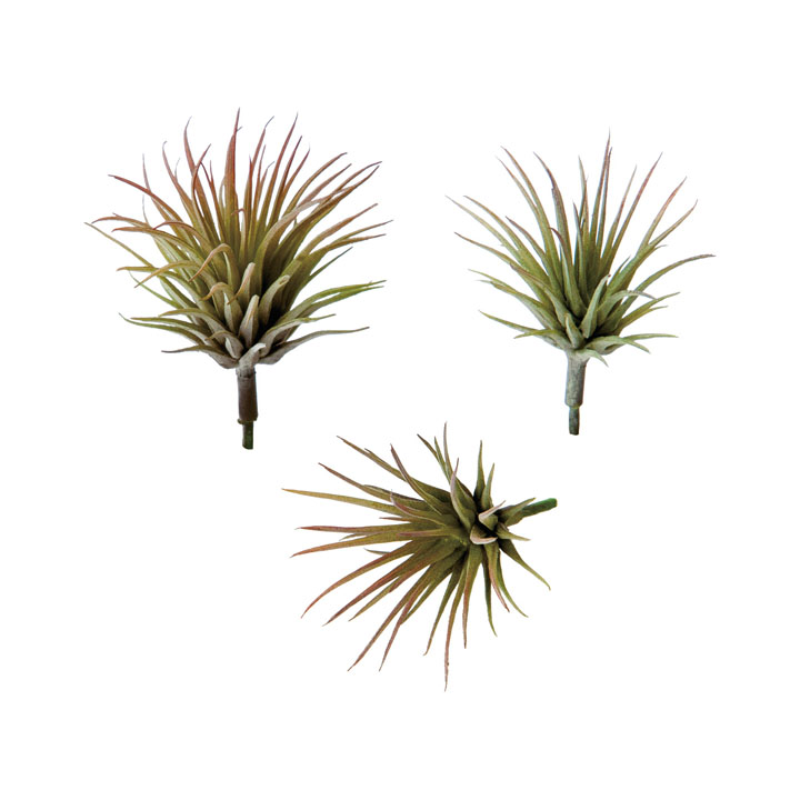 ミニチランジアピック3コ入り