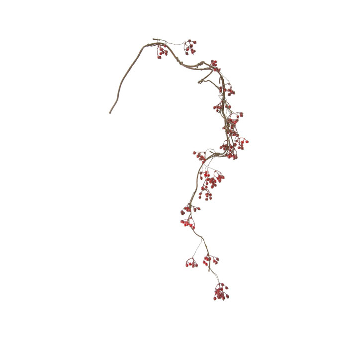 フレキシブルベリーバイン