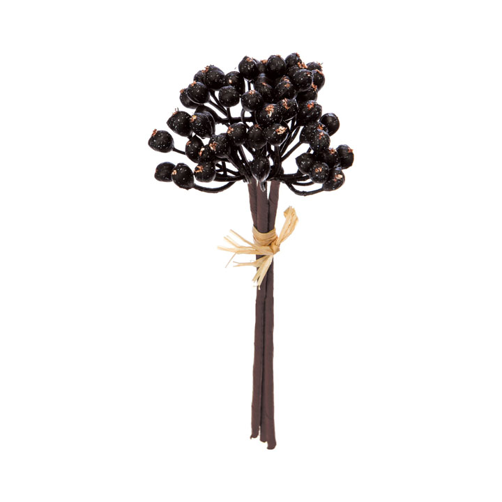 ミニクラスターベリーピック