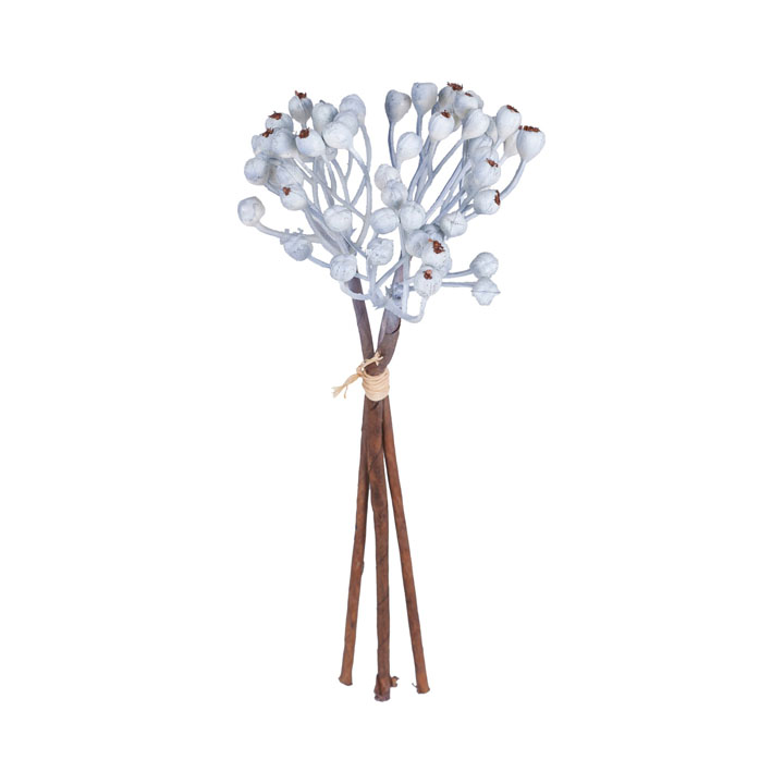 ミニクラスターベリーピック