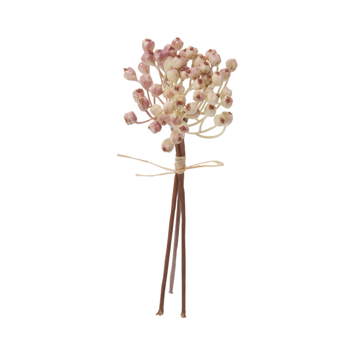 ミニクラスターベリーピック