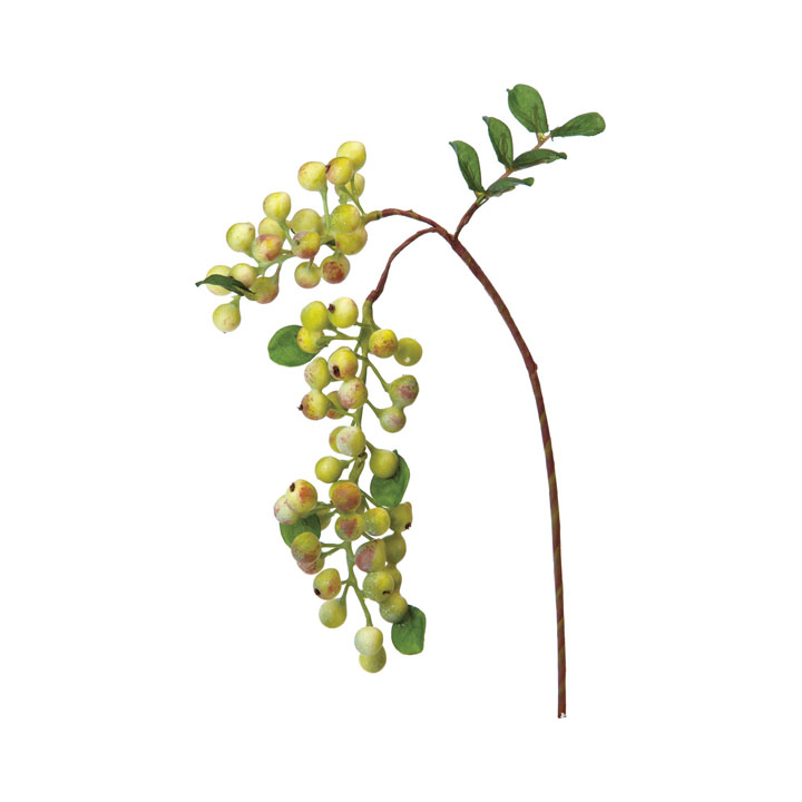 ミニハンギングベリーピック