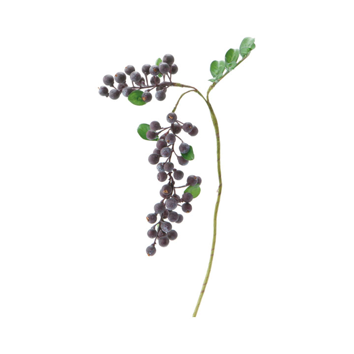 ミニハンギングベリーピック