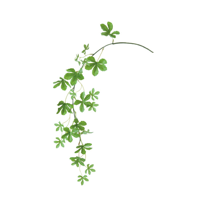 シュガーバイン