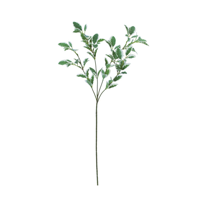 ミニサイカススプレー