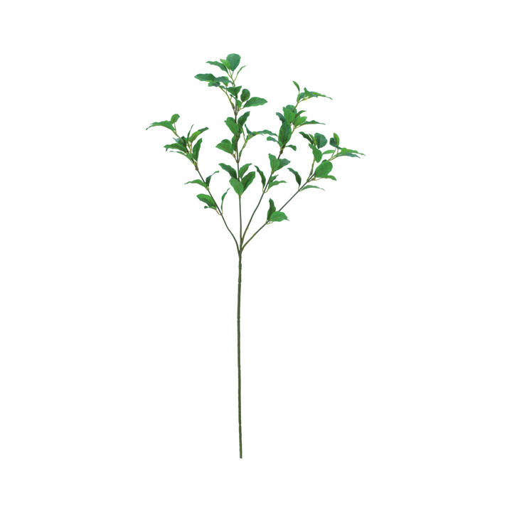 ミニサイカススプレー