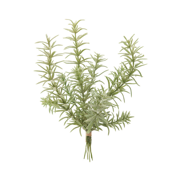 ローズマリーバンチ