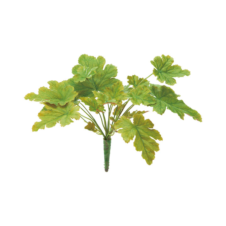 ヒューケラリーフブッシュ