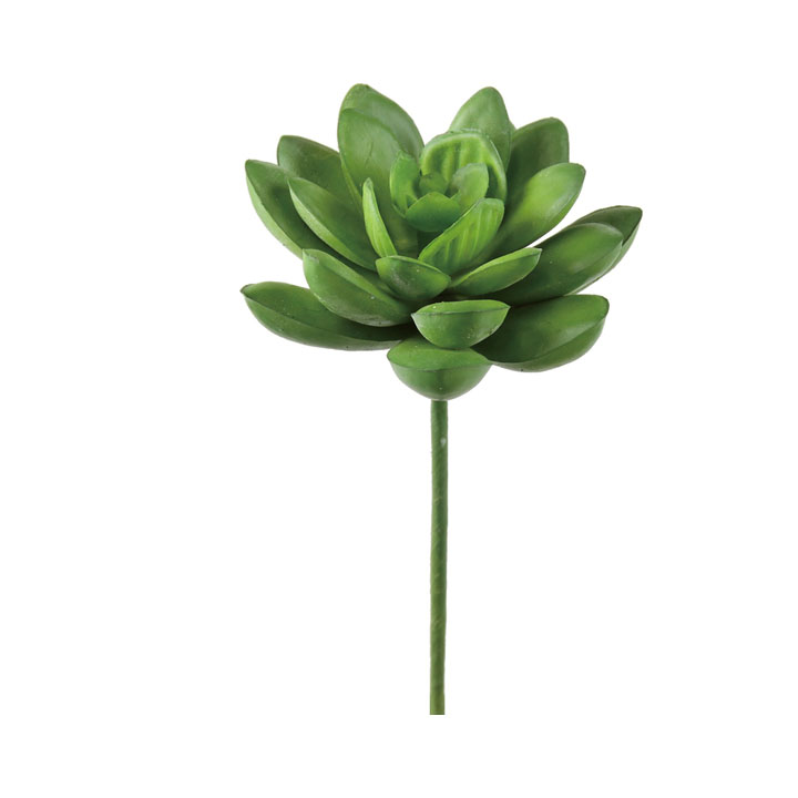 タツタカクタスピック