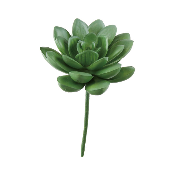 タツタカクタスピック