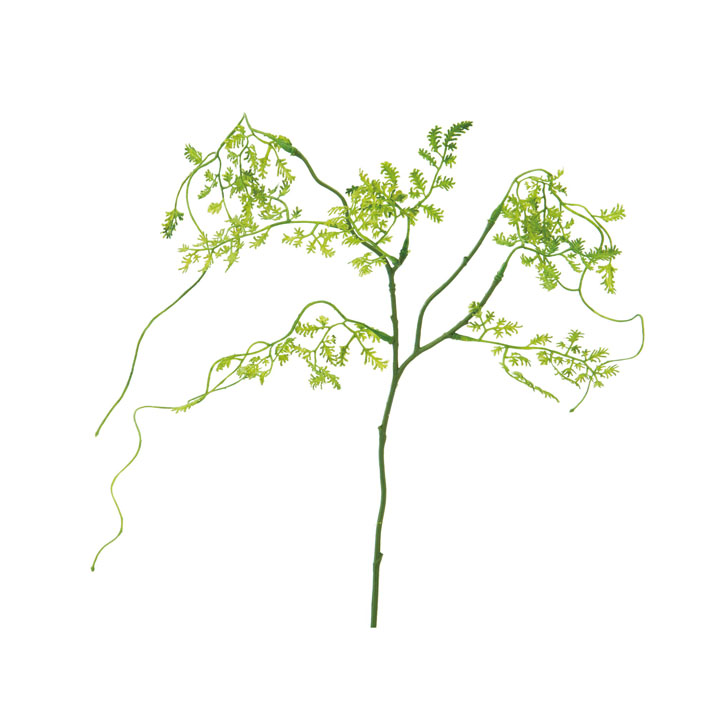 ミニファーンバインピック