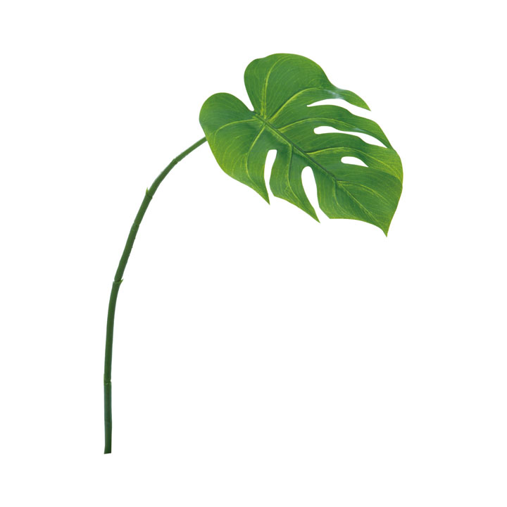 モンステラリーフ