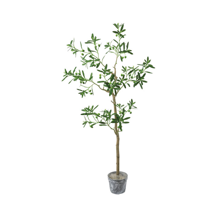 ジョイントオリーブツリーセット