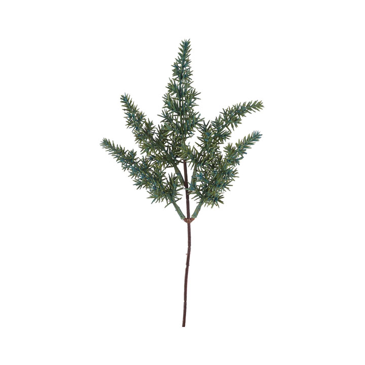 ジュニパーピック