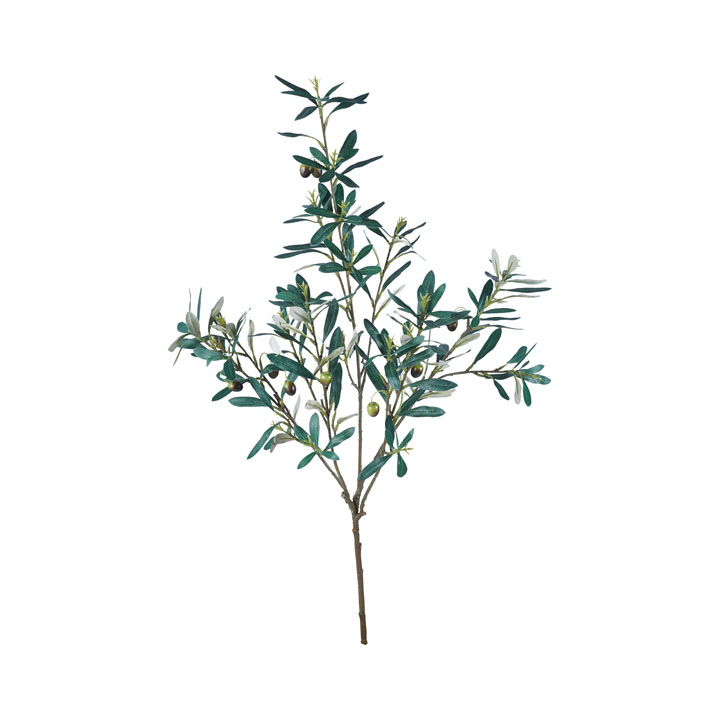 オリーブツリーブランチ