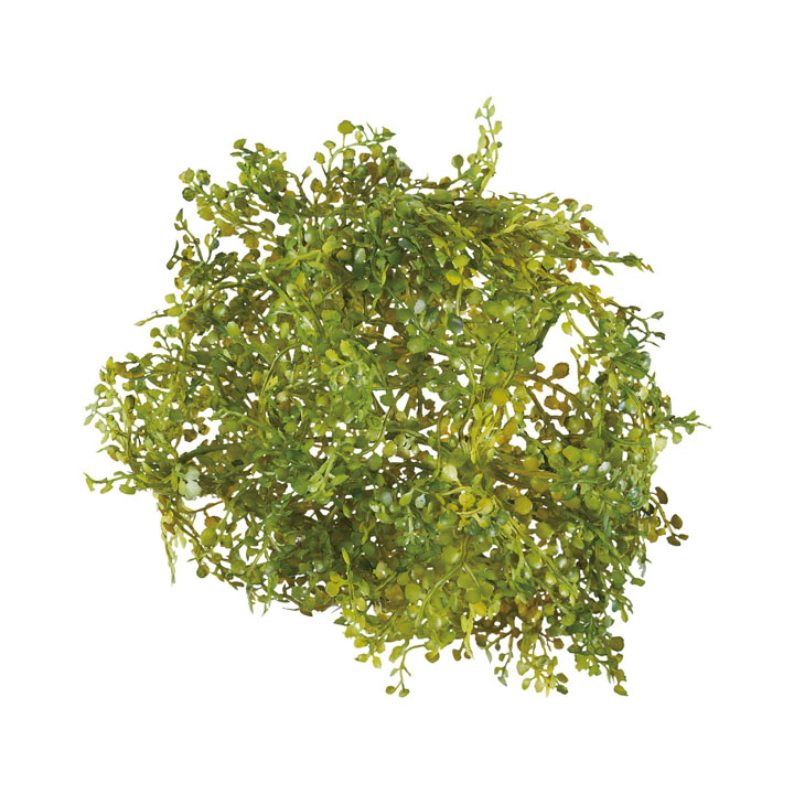 ベビーティアーズピック