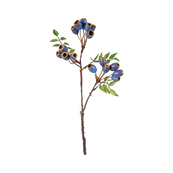 ベルガムナッツスプレー