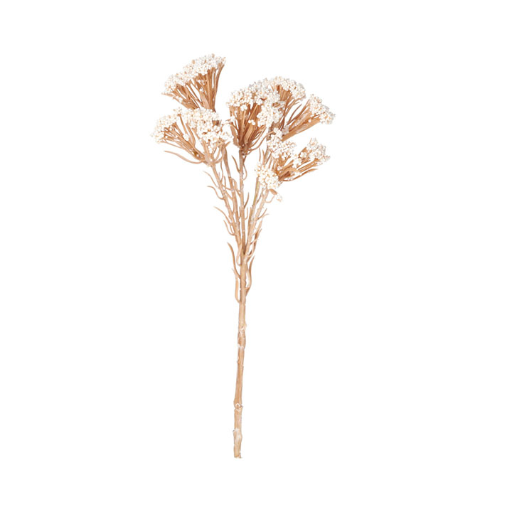 ドライライスフラワーピック