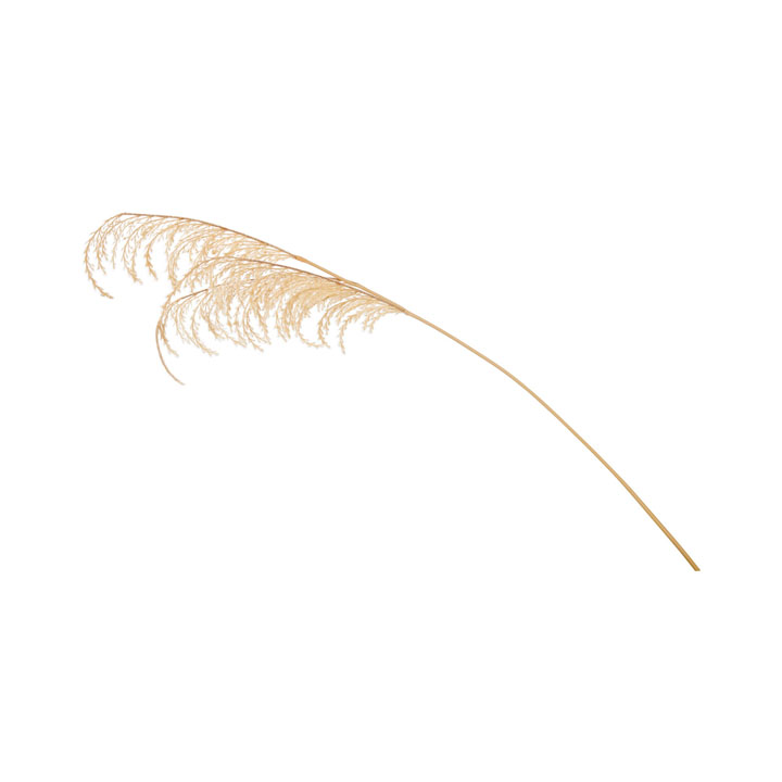 パンパススプレー