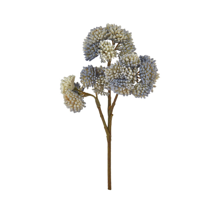 オランダセダムピック