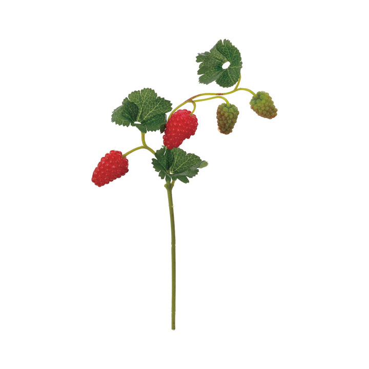 ラズベリーショート