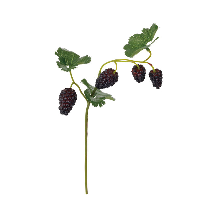 ラズベリーショート